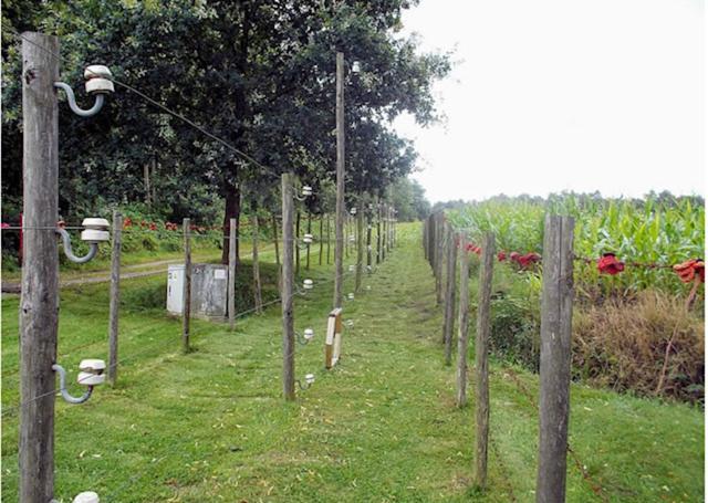 Vila La Petite Fleur Baarle-Nassau Exteriér fotografie